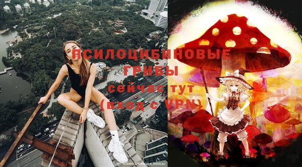 марки lsd Абаза